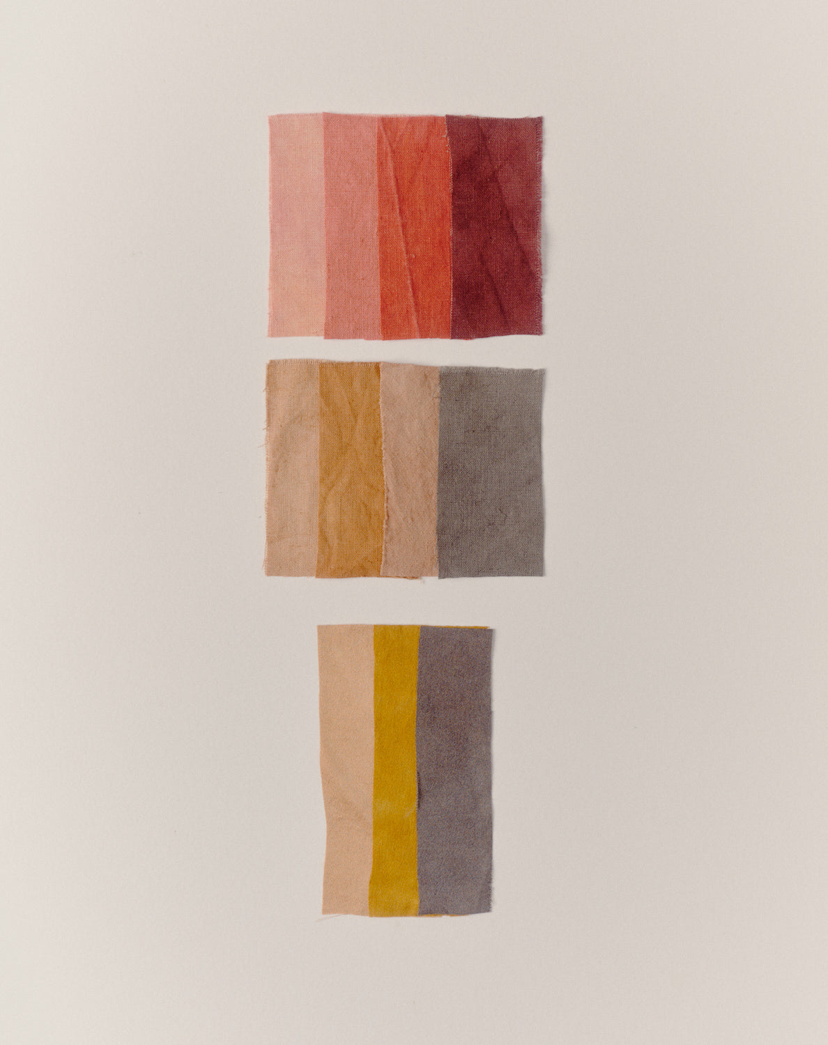 Hand Dyed Designs (signed copy) + FREE mordant samples