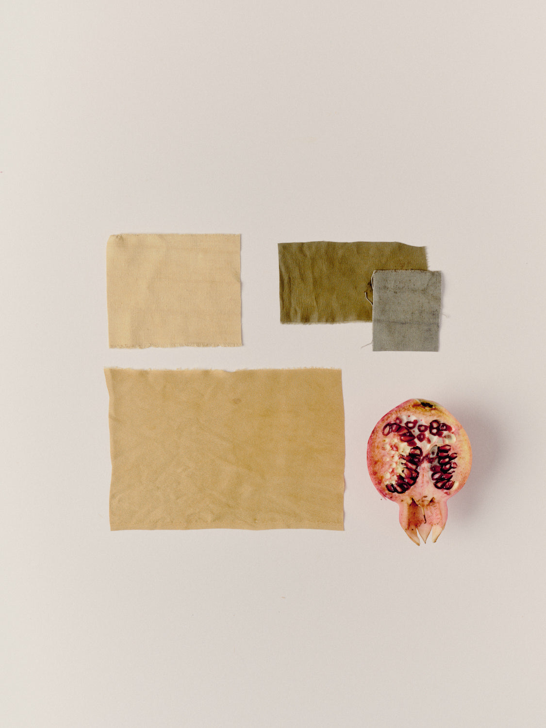 Pomegranate extract (Punica granatum) - 50gm