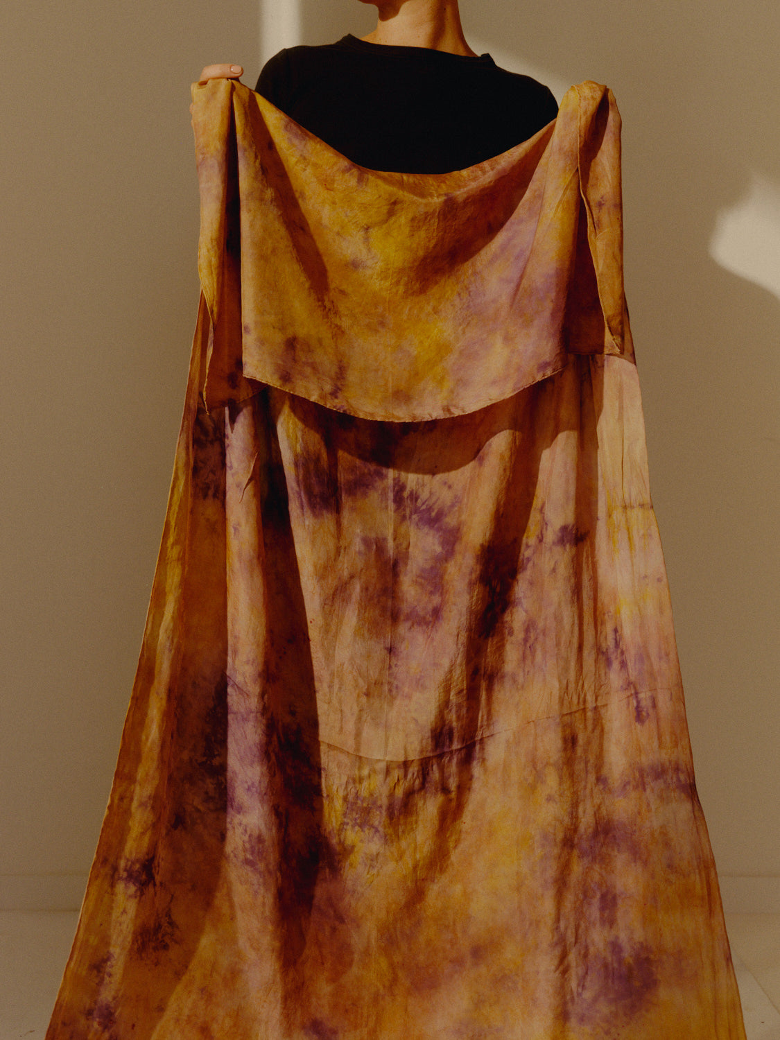 Hand Dyed Designs (signed copy) + FREE mordant samples