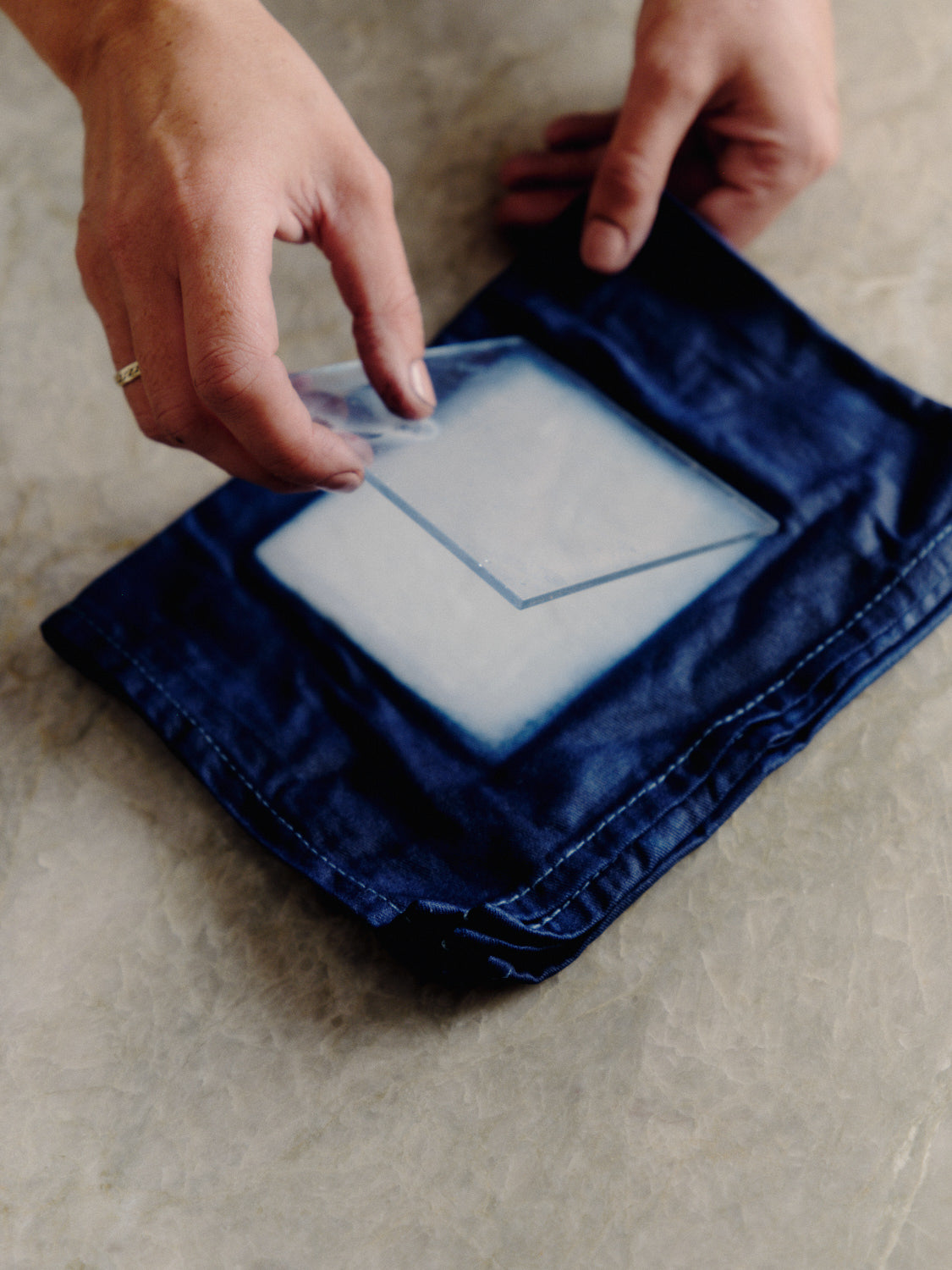 Hand Dyed Designs (signed copy) + FREE mordant samples
