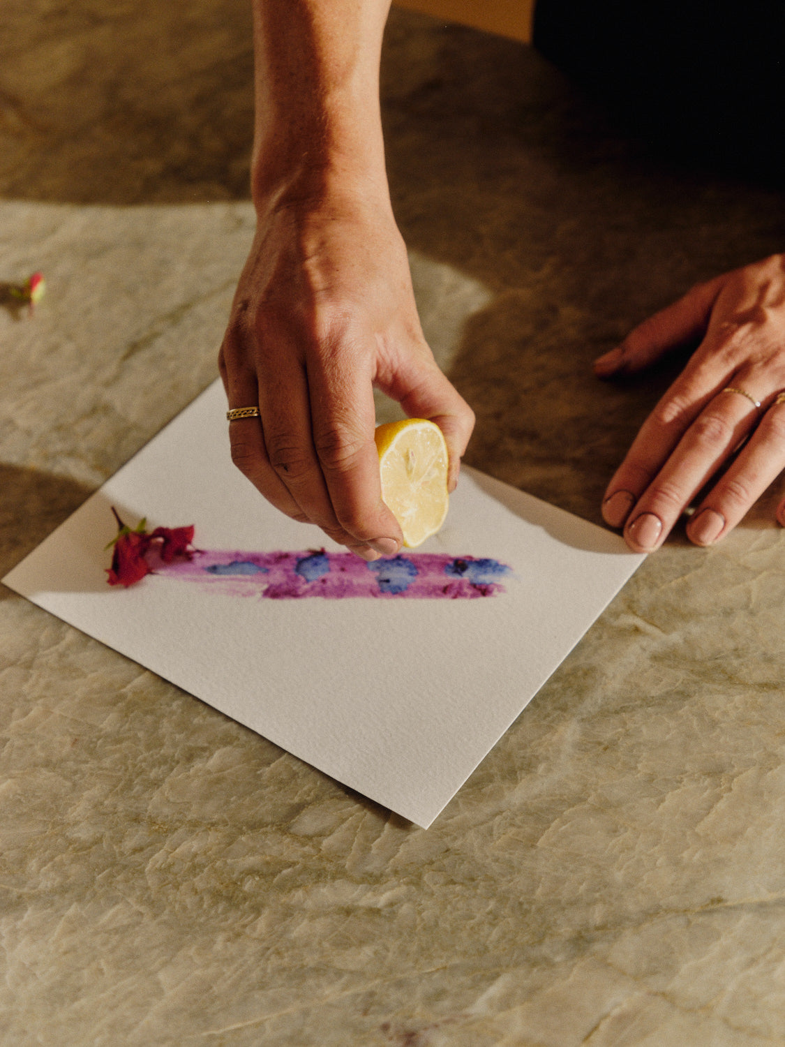 Sydney: Natural Dyeing Workshop
