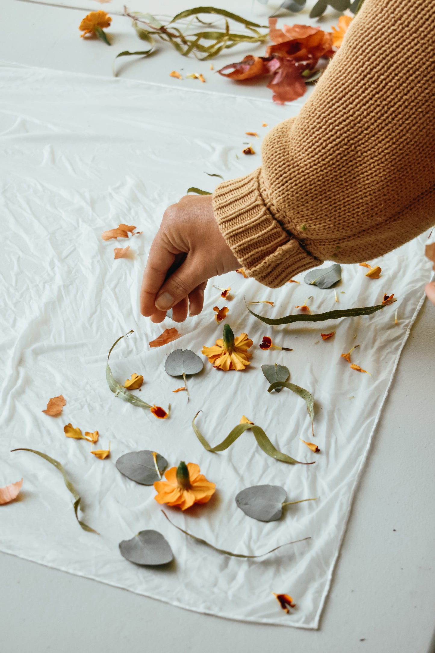 Sydney: Natural Dyeing Workshop