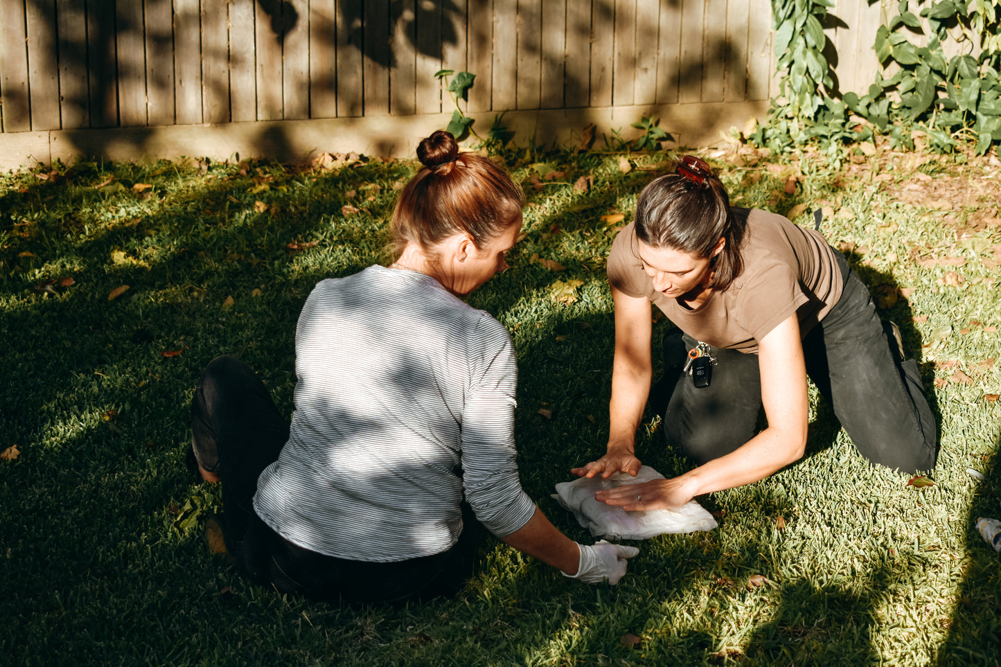 Natural Dyeing Workshops